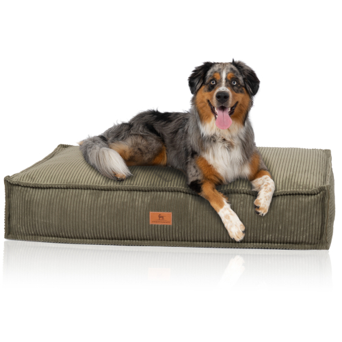 Knuffelwuff Lesedi dog cushion made of corduroy with the characteristics of a hand-woven material