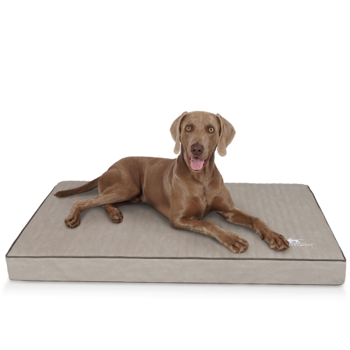 Knuffelwuff Palomino orthopaedic dog mat made of laser-quilted synthetic leather, XL, 100 x 70, grey