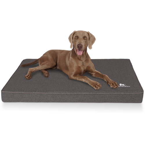 Nantucket orthopaedic dog mat made of velour with the characteristics of a hand-woven material, L, 80 x 60 cm, anthracite