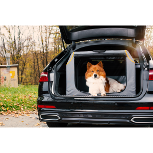 Knuffelwuff Alverstone foldable dog crate and in-car...