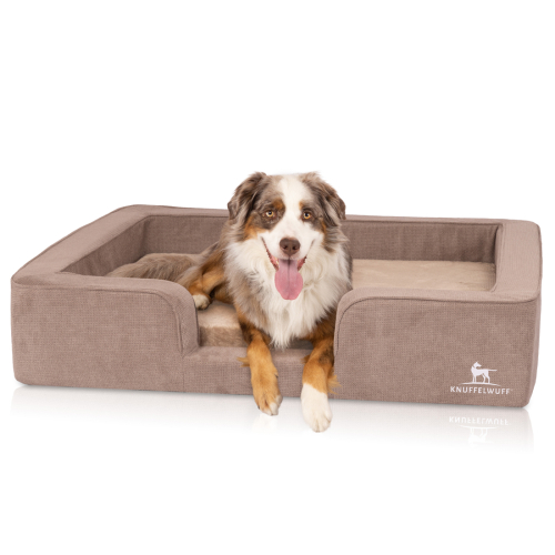 Knuffelwuff Bellamy orthopaedic dog bed with reversible cushion made of velour, 80 x 60 cm, brown